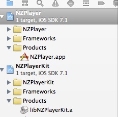 nzplayer_project